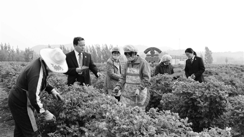 法官走进田间地头普法